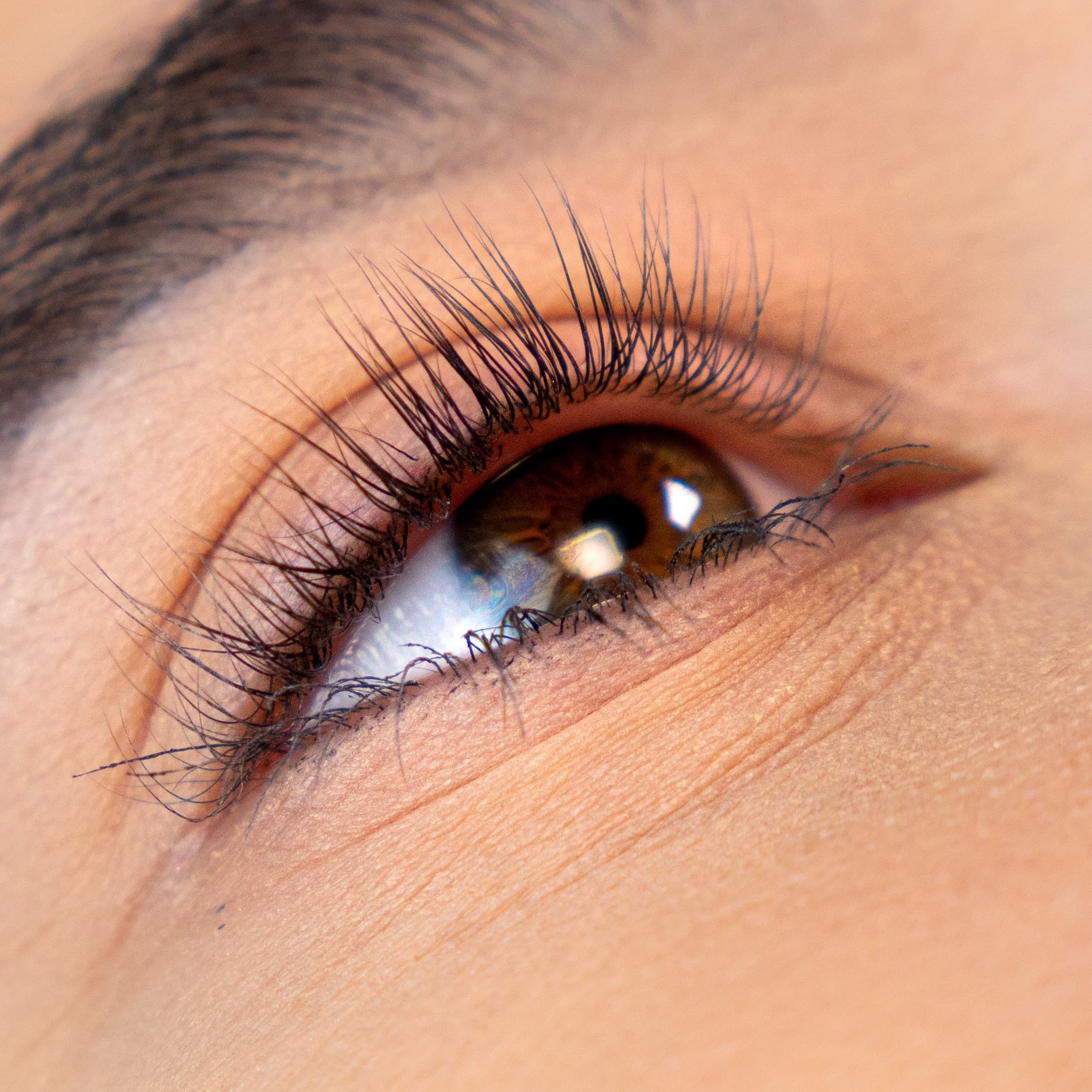 Efekt zabiegu liftingu i laminacji rzęs wykonanego w studiu kosmetycznym Health & beauty w Krakowie przez kosmetyczkę Kamilę pieczyrak